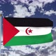 Western Sahara Flag Waving 4k - VideoHive Item for Sale
