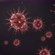 The virus Coronavirus (COVID-19) medical animation. - VideoHive Item for Sale