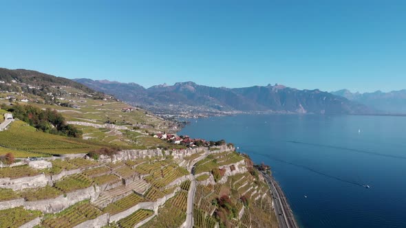 Flyover the vine region on lake geneva called Lavaux. Vineyards on terrasses over a beautiful lake w