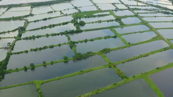 Aerial view Fish hatchery pond in Hong Kong