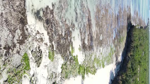Vertical Video Empty Beach on Zanzibar Island Tanzania Aerial View