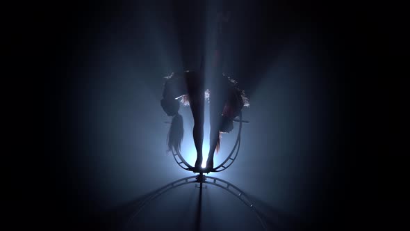 Professional Gymnasts Spin on the Stage. Black Smoke Background. Silhouette