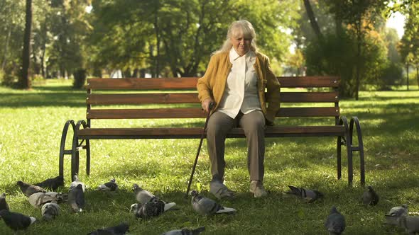 Grumpy Old Lady Shooing Away Pigeons, Sitting on Bench in Park, Unhappy Elderly