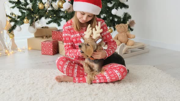 Child with Dog in Christmas Time