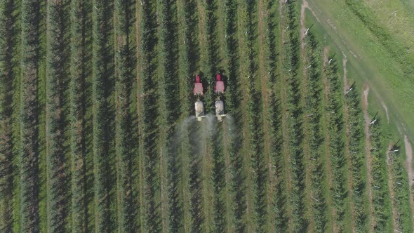 Aerial view of tractors irrigating a plantation