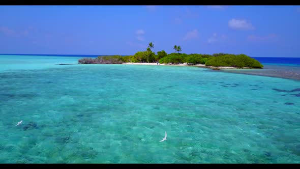 Aerial travel of tranquil seashore beach break by blue lagoon with white sandy background of a dayou