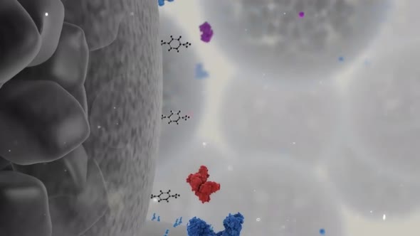 Antigen cross-priming of cell-associated proteins