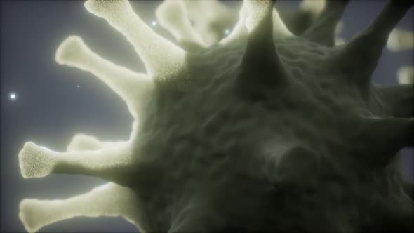 Bacteria Virus or Germs Microorganism Cells Under Microscope with Depth alt