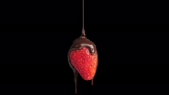 Chocolate Drop On Red Berry Strawberry With Alpha Channel