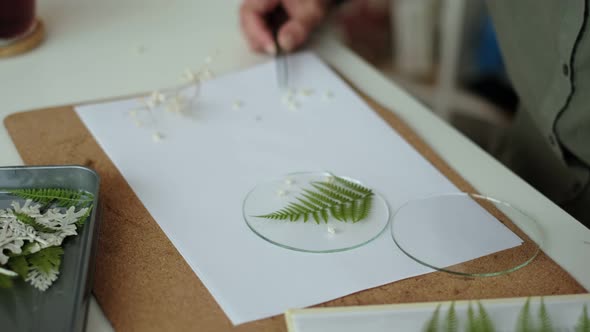 Woman Fixes Glass Plates