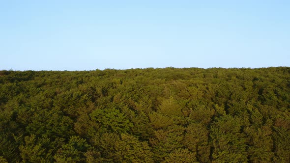 Aspromonte mountain Park in Calabria