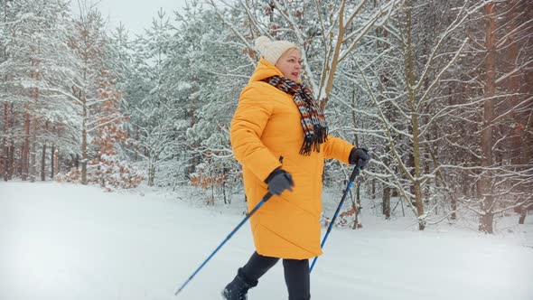 Hiker Practicing Nordic Walking In Forest. Sticks Walking Winter Wood. Nordic Walking Trekking Stick