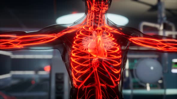 Science Anatomy Scan of Human Blood Vessels alt