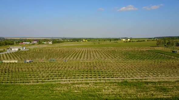 Aerial View Of Beautiful Garden