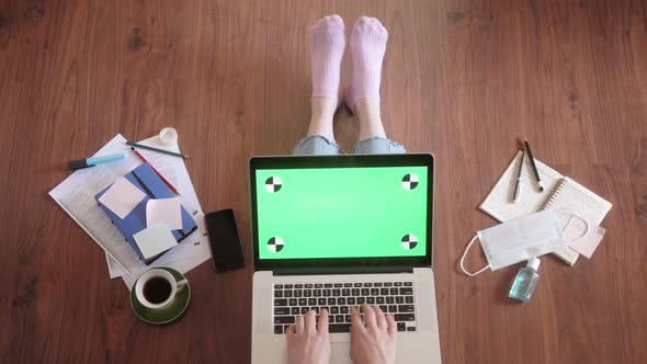 Top View of Woman Working with Laptop with Green Chroma Key Screen Home with Dog