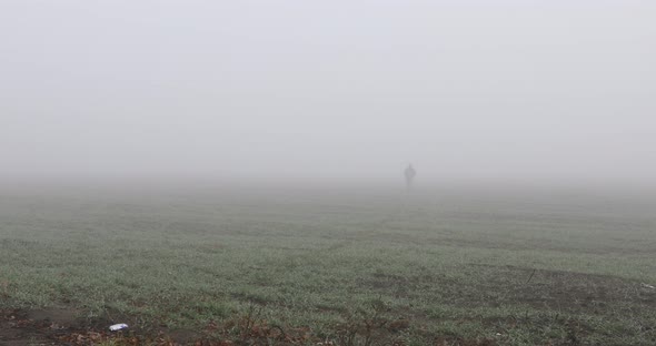 Fog Landscape