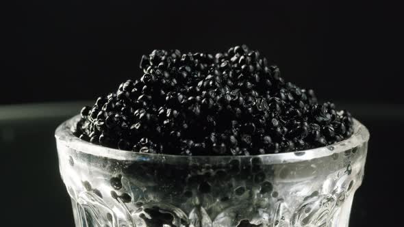 Black Caviar Closeup