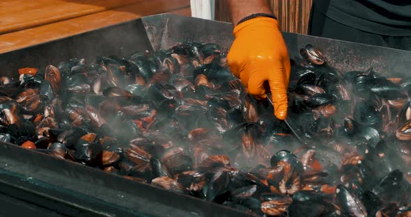 Cook Is Roasting Scallops