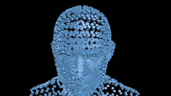 Human Head From Rotating Cubes