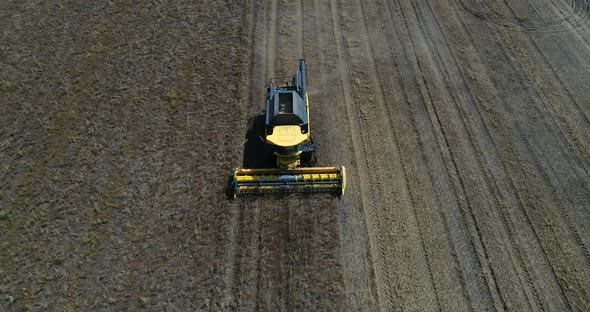 Combine harvester, harvest on the field. Aerial drone view