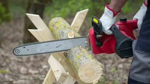 Chainsaw in Action Cutting Wood. Man Cutting Tree Into Logs with Saw on Sawhorse