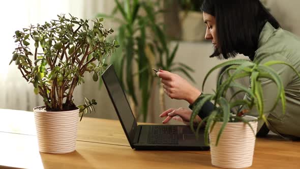 Woman with potted plant using laptop hold in hand credit card making online shopping