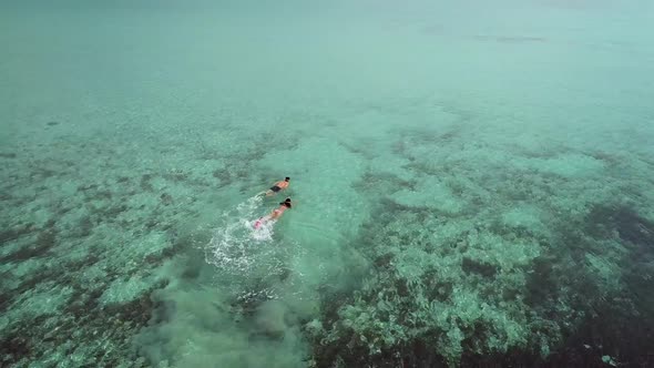Aerial view of couple snorkeling in transparent sea.