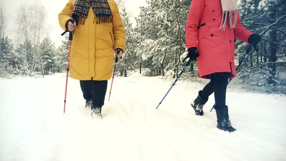 Sport Activities Healthy Lifestyle. Nordic Walking With Trekking Sticks. Winter Adventure Hiking.