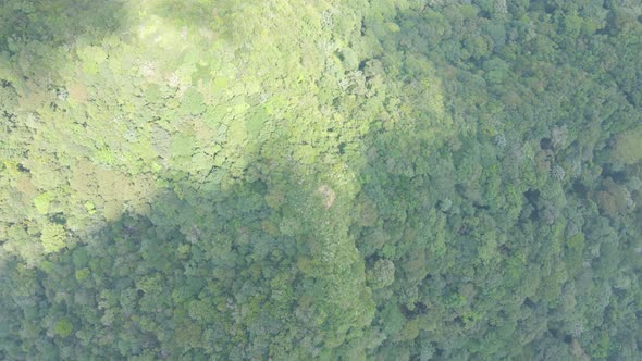 Cloud Shadow Above Green Lush Hills Jungle