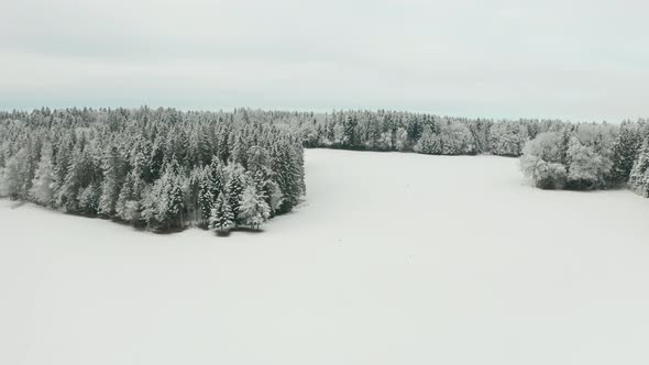 Aerial of forests standing in beautiful snow covered landscape