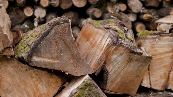 Tight shot of a neatly stacked pile of split wood.