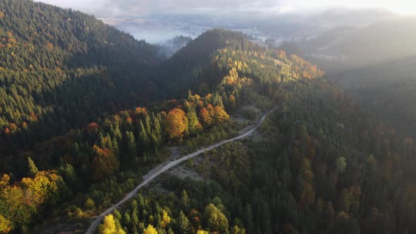 Beautiful Way in the Carpathian Mountain Drone Shot in Ukraine