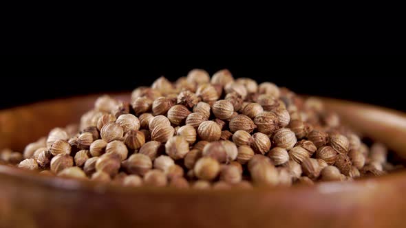 Dry organic whole grain coriander in wooden bowl. Cilantro seeds. Coriandrum sativum