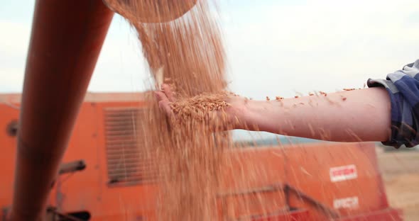 Harvester Unloading Grains Against Sky