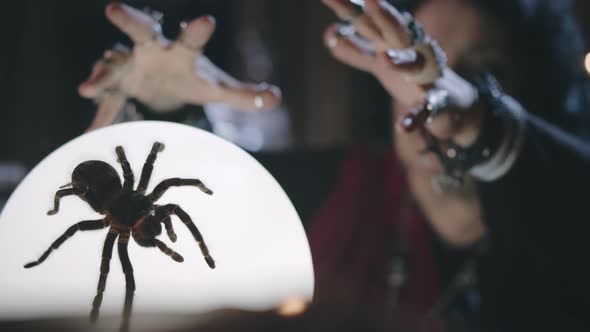 Old Diviner Performing Ritual with Prediction Ball and Tarantula