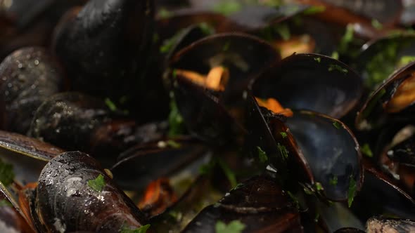 Mussels 18