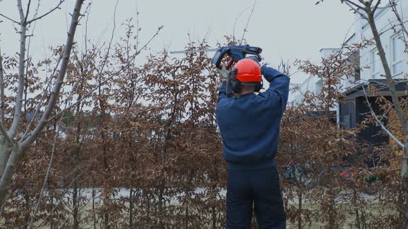 Close up view of a man who trims bushes in early spring. Home gardening concept.