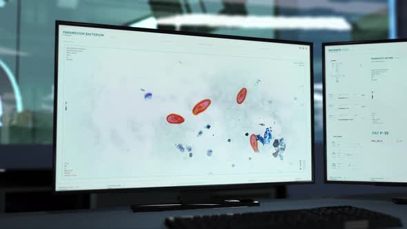 Paramecium Bacterium Digital Research At A High Tech Medical Laboratory