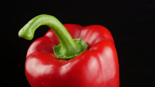 Paprika. Sweet red Bell Pepper