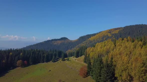 Panorama of Mountains and Autumn Forest