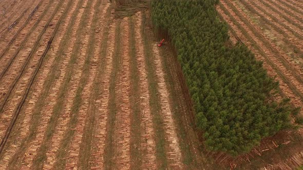 Forestry and logging operations taking place in the highlands of Scotland using large industrial mac