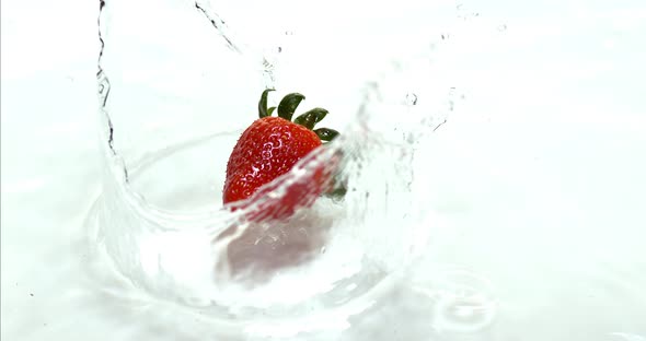 Strawberries, fragaria vesca, Falling on Water, Slow Motion 4K