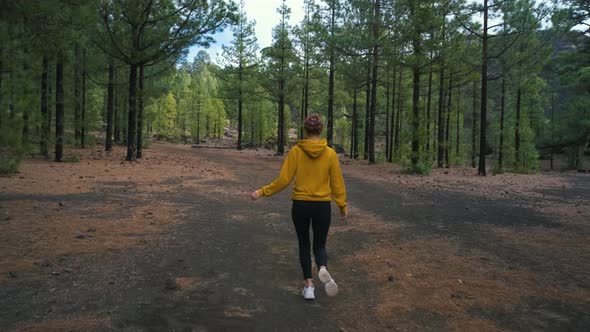 Woman Traveler Walks Around a Pine Forest on Top of the Chinyero Volcano in the National Park of the