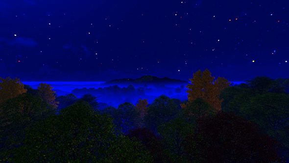 Night Landscape