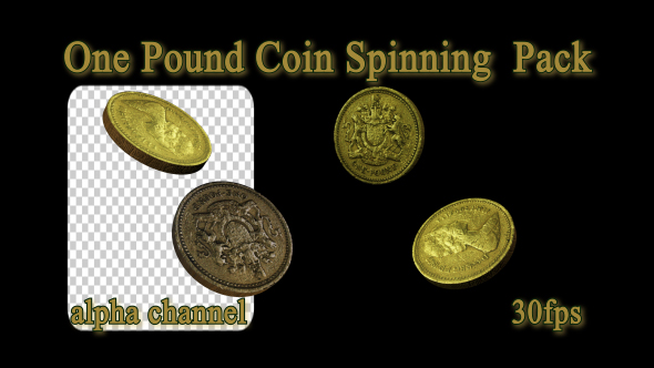 One Pound Coin Spinning  Pack alt