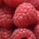 Ripe Raspberries Rotate in Front of the Camera - VideoHive Item for Sale