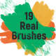19 Real Brushes - VideoHive Item for Sale