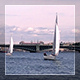 Sail Boats In The City - VideoHive Item for Sale