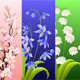 Thre Beautiful Spring Flowers Animation With Alpha - VideoHive Item for Sale