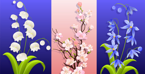 Thre Beautiful Spring Flowers Animation With Alpha